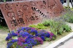 DSC02319