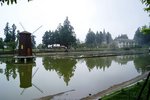 DSC02339