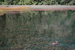 image0007