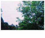 F1000006