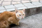 CRW_0376