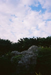 F1030002 copy