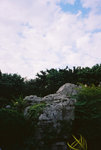 F1030003 copy