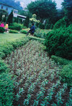F1030008 copy