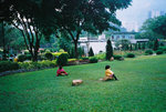 F1030013 copy