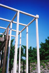 F1030029 copy