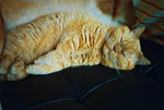 F1000021 copy