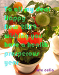 2009wishbycelia