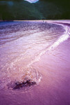 shore
