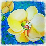 IMG_1214