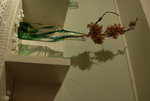 SEE_2836
