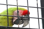 IMG_0191