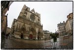 IMG_3645