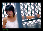 alice041205315
