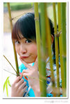 carol050220002c