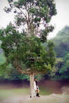 cassie_070311_001