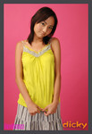 dicky040613196