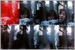 lomo041219005a