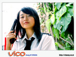 vico040606039