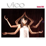 vico040704207
