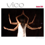 vico040704208