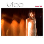 vico040704210
