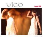 vico040704211