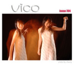vico040704212