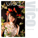 vico040704101a