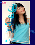 vico040626012