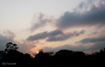 DSC_5645l