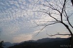R0010155
