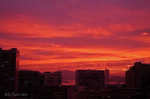 R0010188