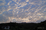 R0010203