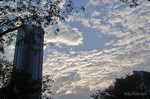 R0010207