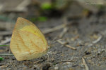 DSC_1154F