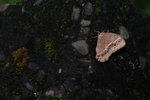 DSC_3557
