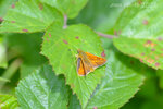 504423682_10161969758449576_5462879454473608433_n (1)