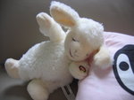 little sheepppppppp :P