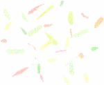 150
