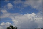 IMG_0431