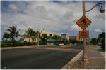 IMG_0435