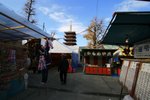 IMG_6592