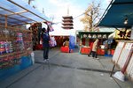 IMG_6593