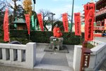 IMG_6610