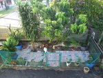 DSCF1685