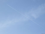 DSCF1686