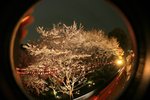 ??1 011