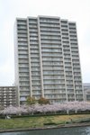 IMG_0 300