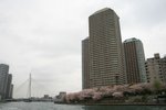 IMG_0 309